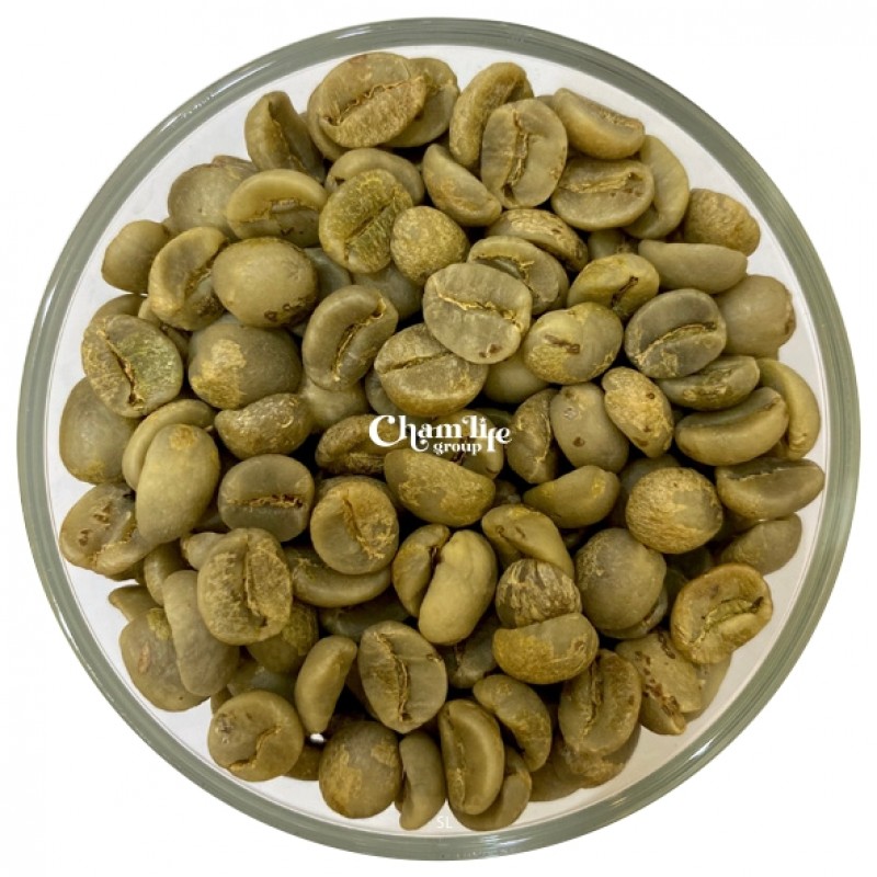 Arabica GR1 S18 Fully-washed from Vietnam